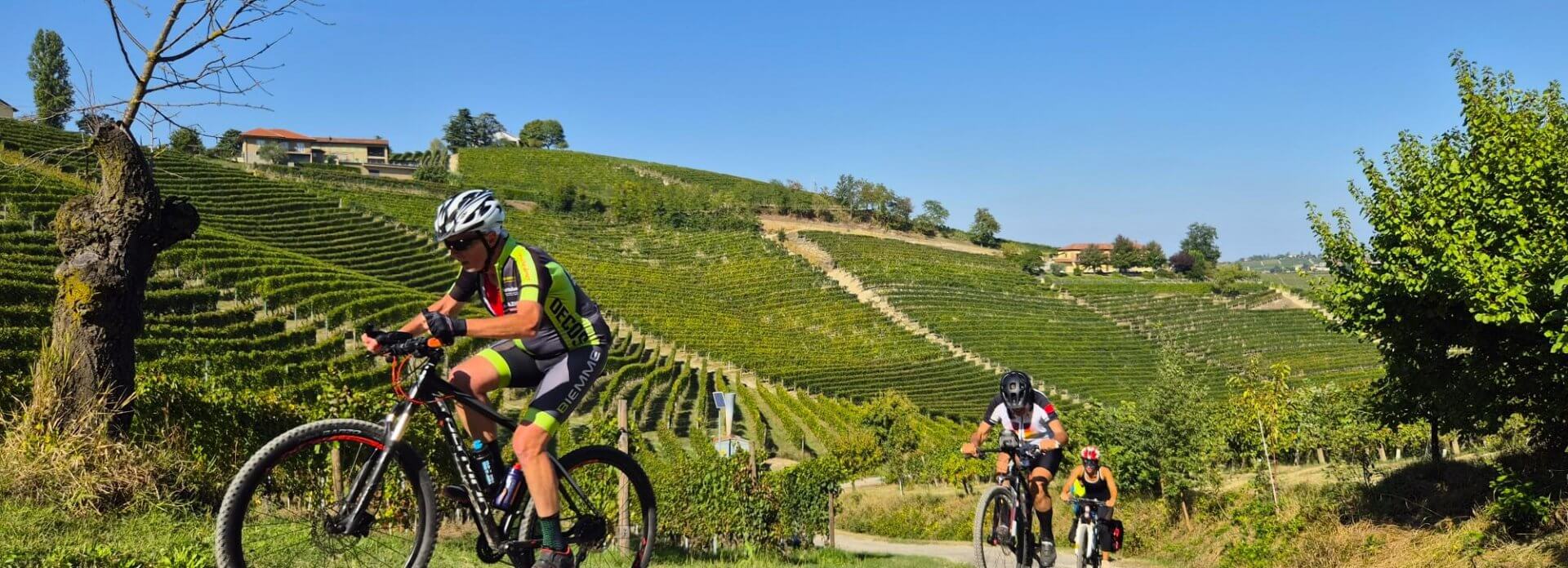 Piemonte – Le Langhe